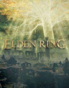 Elden Ring image