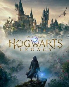 Hogwarts Legacy image